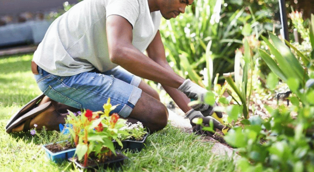 Container Gardening: How to Create a Beautiful Garden Container Gardening