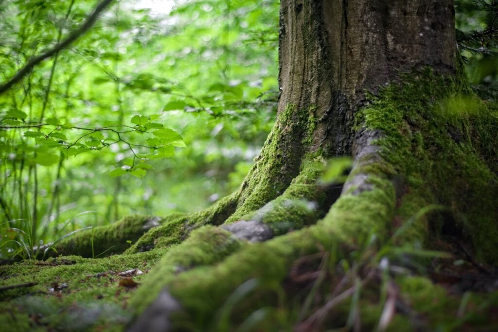 Exploring Nature: Role of Friends of Tryon Creek in Conservation friends of tryon creek